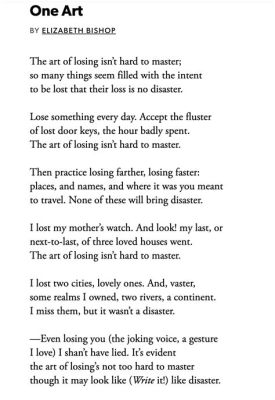 one art by elizabeth bishop meaning the beauty of craftsmanship in her poetry