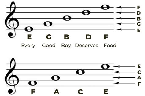 Treble Clef Music Definition and Its Role in Modern Music